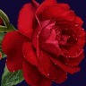 Ramesh Chettiyar