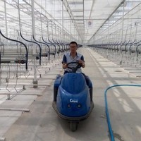 徐金波