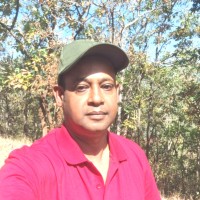 Pratap Das