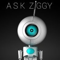Ziggy Bot
