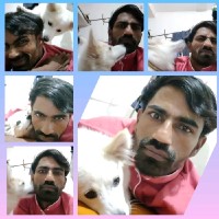 Mahantesh Vajjal