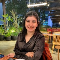 Diana Andrea Ibarra Pedrozo