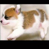 缪云杰
