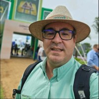 Luís Felipe Feijó
