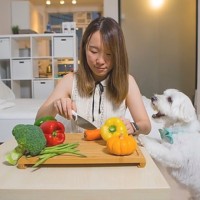 Stella Yuen