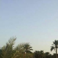 احمد الجبوري