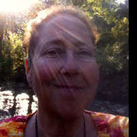 Sharon Fried