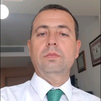 ali arıseven