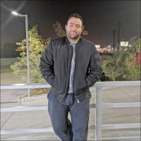 Assem Mostafa