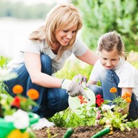 Mildred Fox