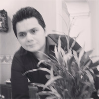 Hossein Lotfi