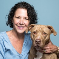 Stacey Levenson Moraitis