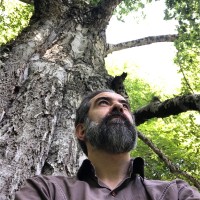 Filippo Verova