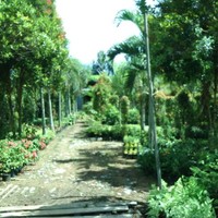 Hafita Gatden
