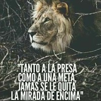 Carlos Trejo
