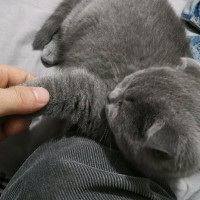 温少鹏