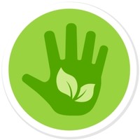 Best Carpet Cleaning Las Vegas | Eco Clean | Organic Solution