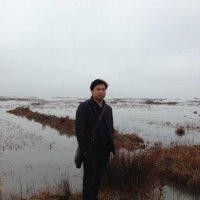 杨辉煌