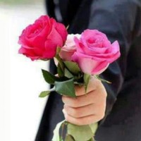 راني غرايبه