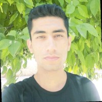 arash n
