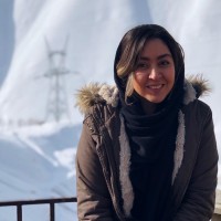 Niloofar Saliminia