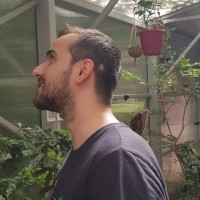 Razvan Rotaru