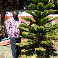 moses keitany