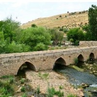 Selcuk Aydın