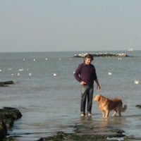 Bart Vanderbeke