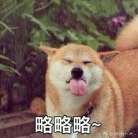 张楚新