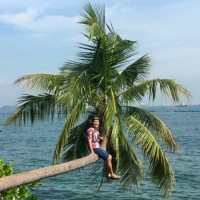 Park Ricardo