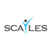 Scayles Tech and Consultancy Services