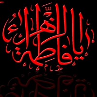هدى عليكم هدى عليكم
