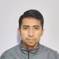 Jesus Emilio Mendoza Rojas