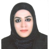 hamideh mansouri