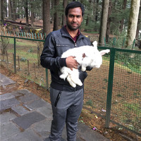 Vasu Dev