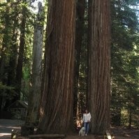 Barbara Hansen hansenresources@earthlink.net