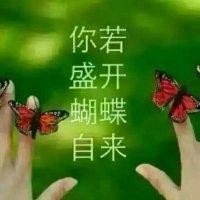 赵晓红