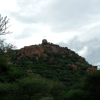 V Sarukesh