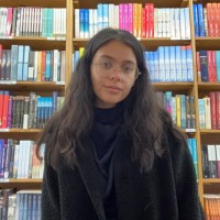 Daphne Constantinides
