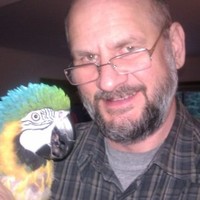 David Sienko