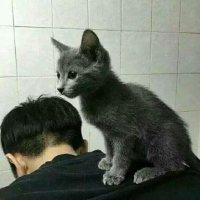 曾豪杰