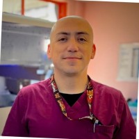 Carlos Bórquez Vidal