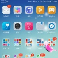 贾盼盼