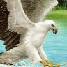 Mahmyd Aadil