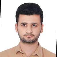 Mohamed Alshaer