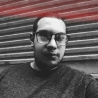 A.M.N .HASSAN