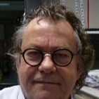 Ron Nefs