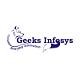 Geeks Infosys