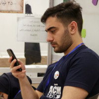 seyed mohammad hasan hosseini